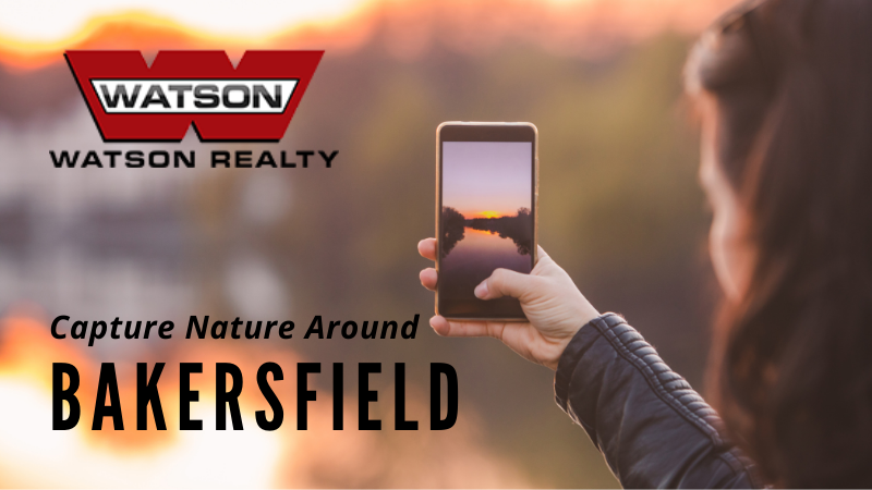 Take Nature Shots Around Bakersfield - Watson Realty