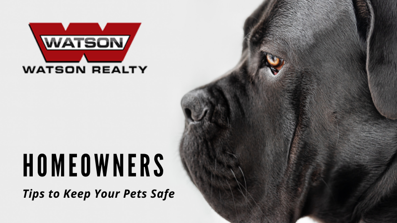Pet Safety Planning - Homeowners - Watson Realty