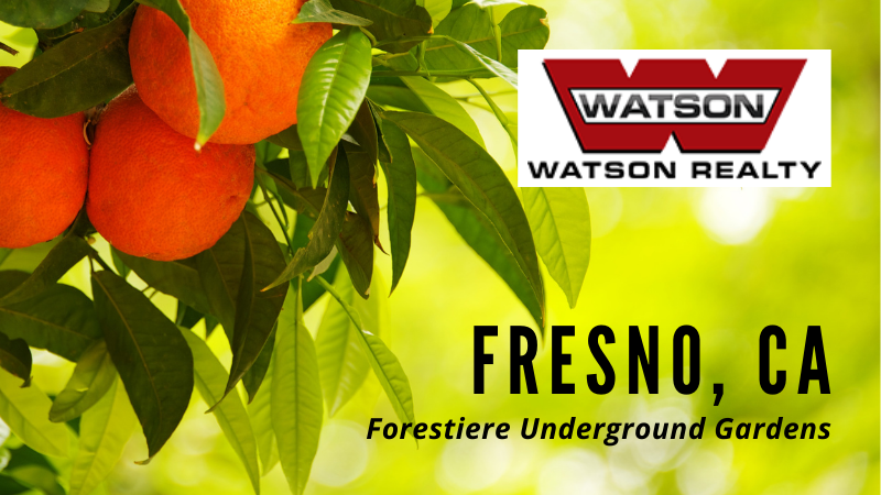 Forestiere Underground Gardens - Watson Realty